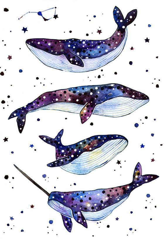 570x814 Whale Print Watercolor Narwhal Art Space Print Watercolor Space - Watercolor Narwhal