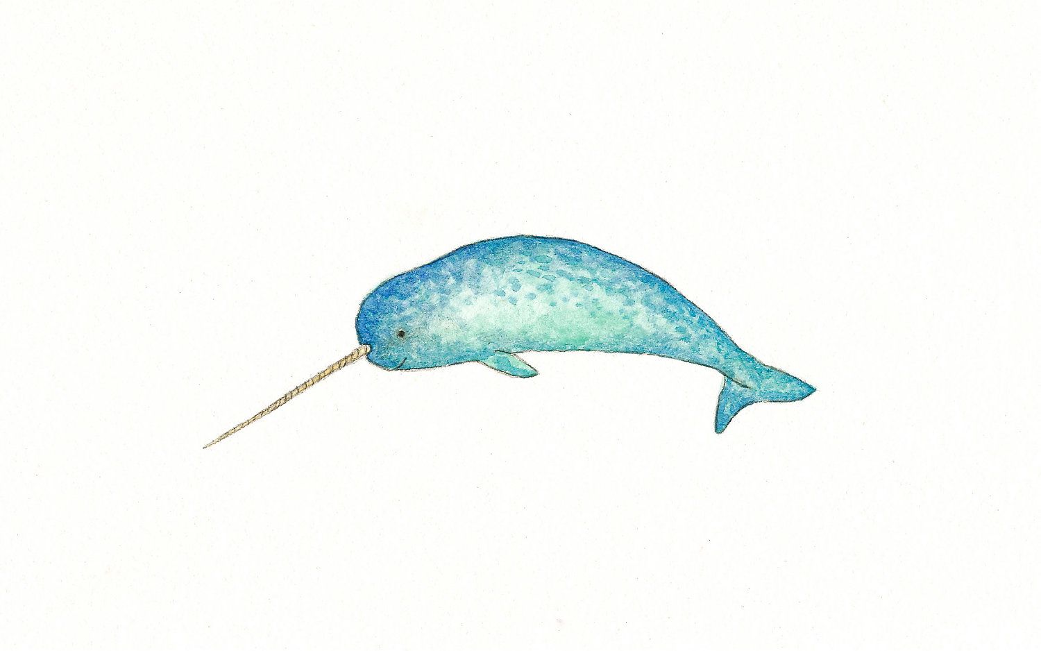 1500x938 Narwhal Clipart - Watercolor Narwhal