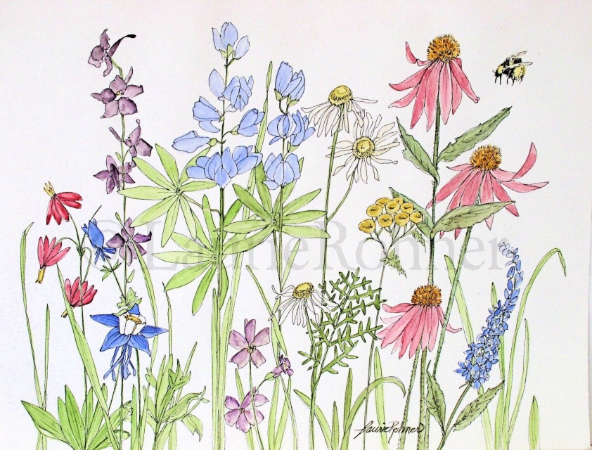842x640 Watercolor Garden Flowers Wildflowers Garden Nature Illustration - Watercolor Nature