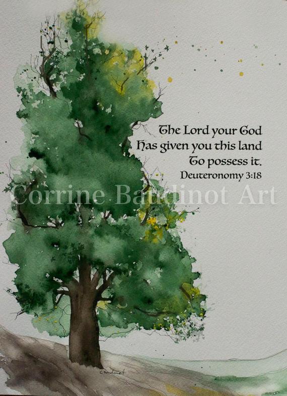 Watercolor Oak Tree at PaintingValley.com | Explore collection of ...