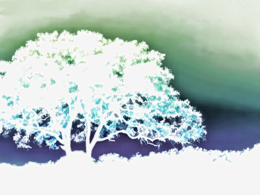 900x675 White Silhouette Of Oak Tree Against Blue And Green Watercolor - Watercolor Oak Tree