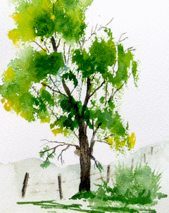 240x302 Image Result For Easy Watercolor Paintings Of Trees A Wc - Watercolor Oak Tree