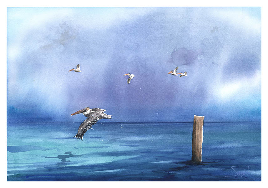 857x600 Pelicans Over Ocean Print Watercolor Animal Paintings - Watercolor Ocean