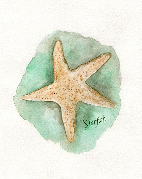 480x606 Ocean Life Package 5 Watercolor Prints For 90.00 By Kellybermudez - Watercolor Ocean Life