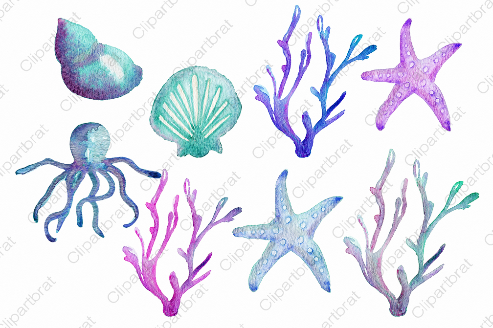 1008x671 Ocean Life Watercolor Graphic Set By Clipartbrat - Watercolor Ocean Life