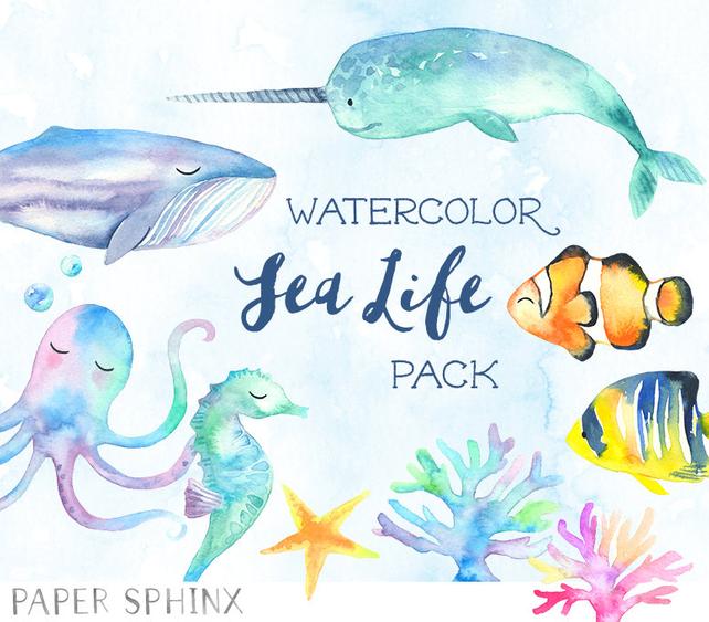 642x563 Watercolor Ocean Animals Clipart Fish Whale Nautical Etsy - Watercolor Ocean Life