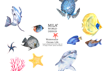 350x233 Watercolor Ocean Life Clipart By Milaworlddesign Tpt - Watercolor Ocean Life