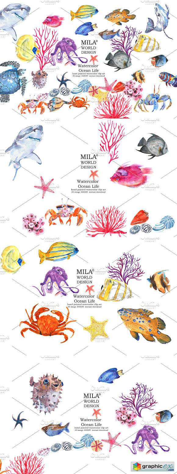 580x1548 Watercolor Ocean Life Clipart Free Download Vector Stock Image - Watercolor Ocean Life