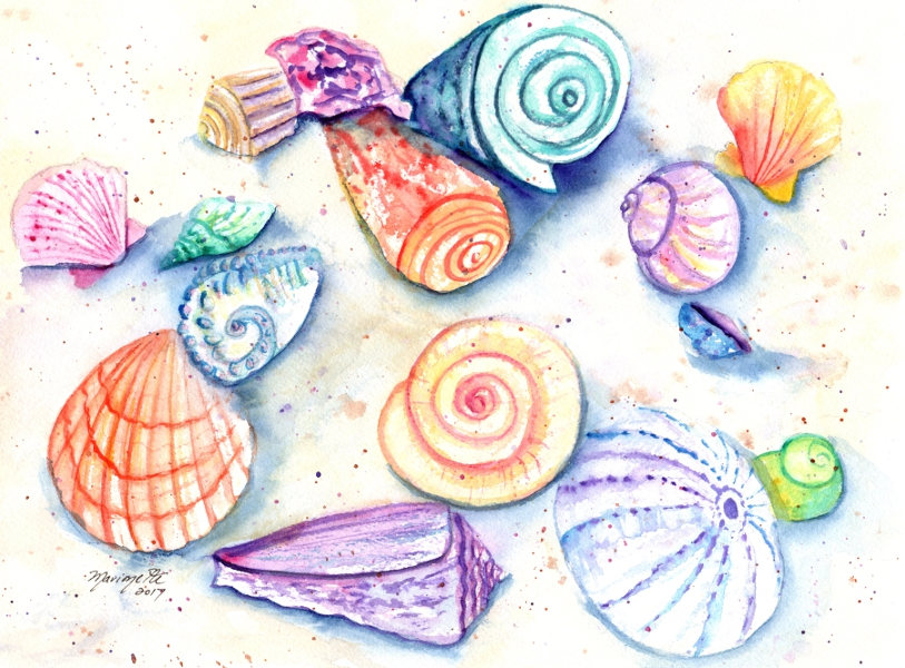 813x600 Seashell Watercolor, Seashell Painting, Nursery Art, Childrens Art - Watercolor Ocean Life