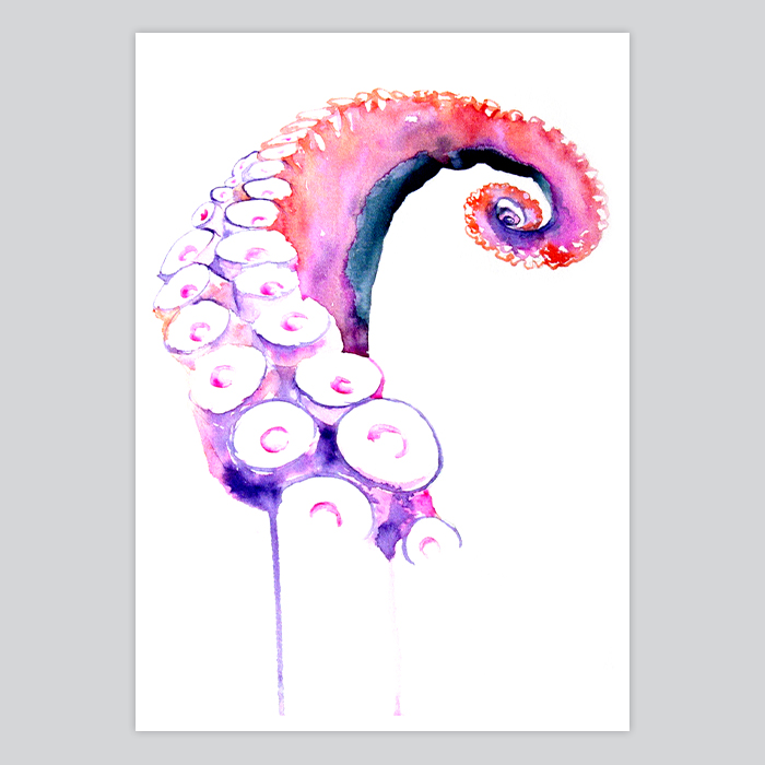 700x700 Octopus Watercolor Painting - Watercolor Octopus