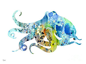 300x225 Octopus Watercolor Paintings Fine Art America - Watercolor Octopus