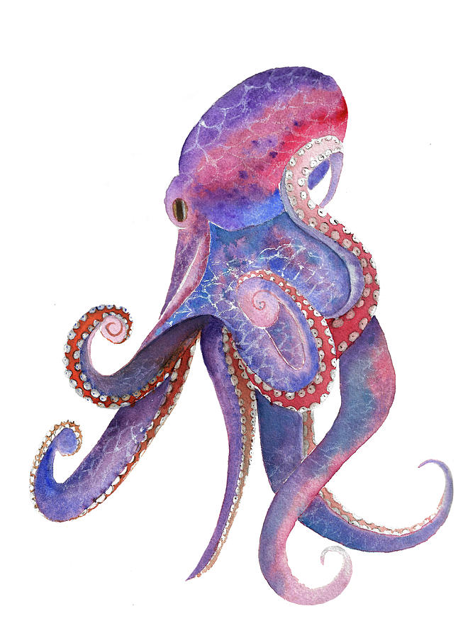 Watercolor Octopus Drawing By Liliya Suleymanova - Watercolor Octopus. 