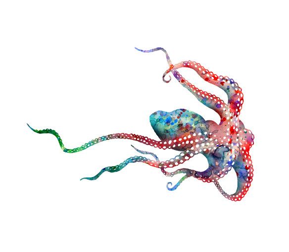 584x511 Watercolor Octopus - Watercolor Octopus