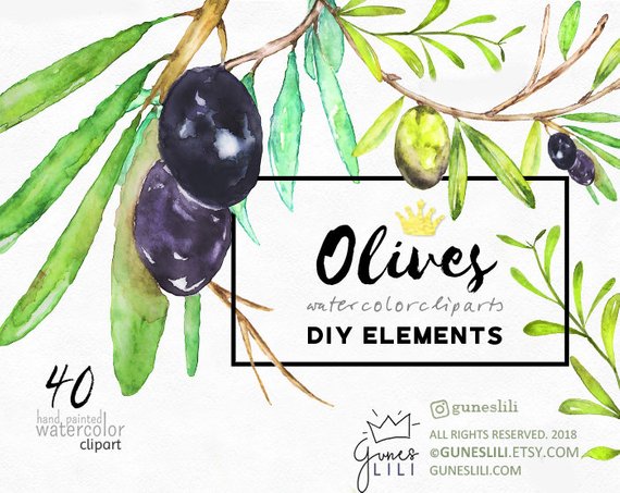 570x453 Olive Clipart Watercolor Olive Clipart Wedding Clipart, Logo - Watercolor Olive Branch