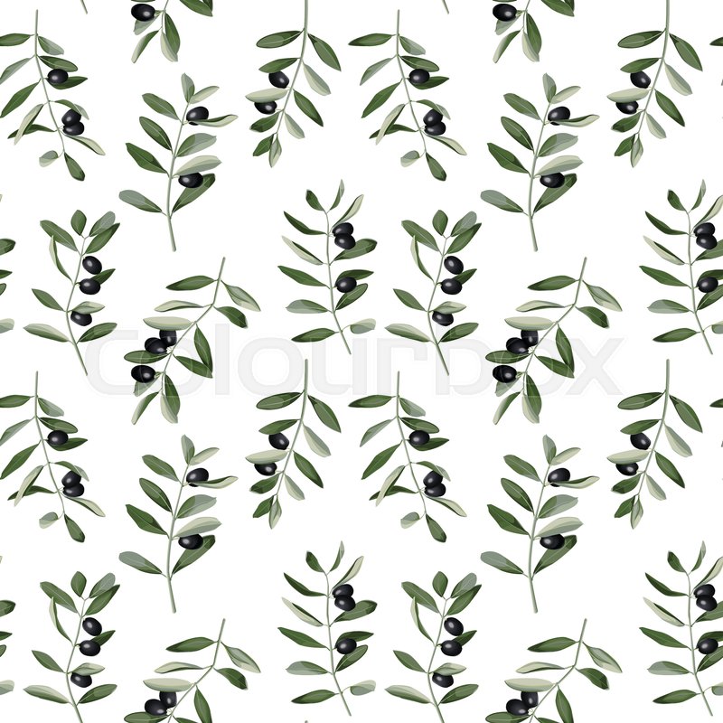 800x800 Olive Branch Seamless Pattern In Watercolor Style Isolated On - Watercolor Olive Branch