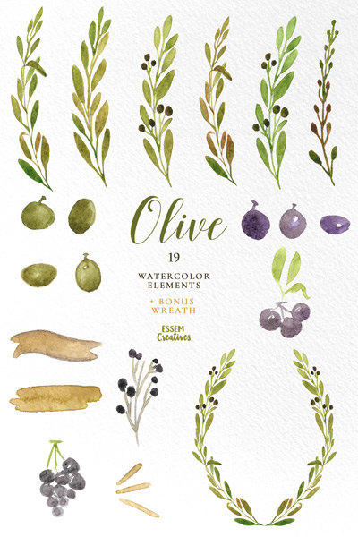 400x600 Watercolor Olive Branch Clipart, Leaves Clipart, Green Watercolor - Watercolor Olive Branch