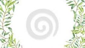 280x158 Watercolor Olive Branch Clipart All About Clipart - Watercolor Olive Branch