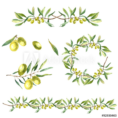 500x500 Watercolor Olive Branch Background. - Watercolor Olive Branch