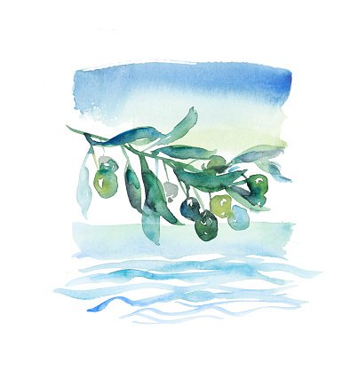 Watercolor Olive Branch at PaintingValley.com | Explore collection of ...