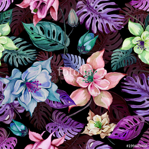 500x500 Beautiful Columbine Flowers Or Aquilegia And Exotic Monstera - Watercolor On Black Background