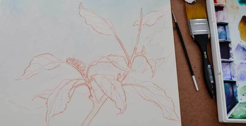 830x425 N. Byrnes - Watercolor On Illustration Board