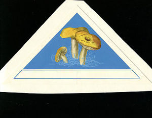 300x232 Mongolia 1978 Mushrooms Scott 1008 Preliminary Artwork Watercolor - Watercolor On Poster Board
