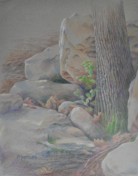 469x600 Forest K Hertzler Art - Watercolor On Toned Paper