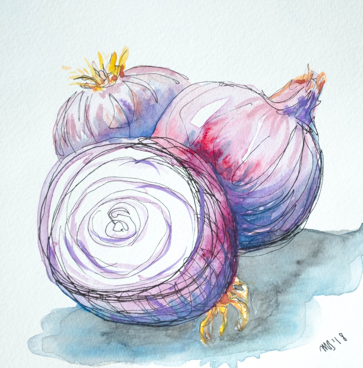 1184x1200 Melissa Brazeau On Twitter Red Onion Watercolor! Httpst.co - Watercolor Onion