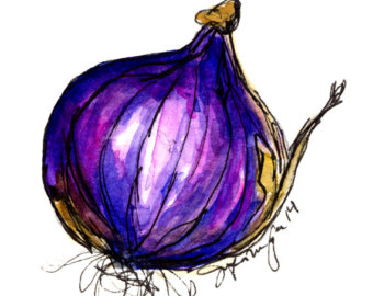 340x270 Onion Watercolor Etsy - Watercolor Onion