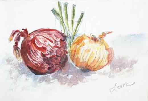 520x353 Onions Watercolor, Colored Pencil - Watercolor Onion