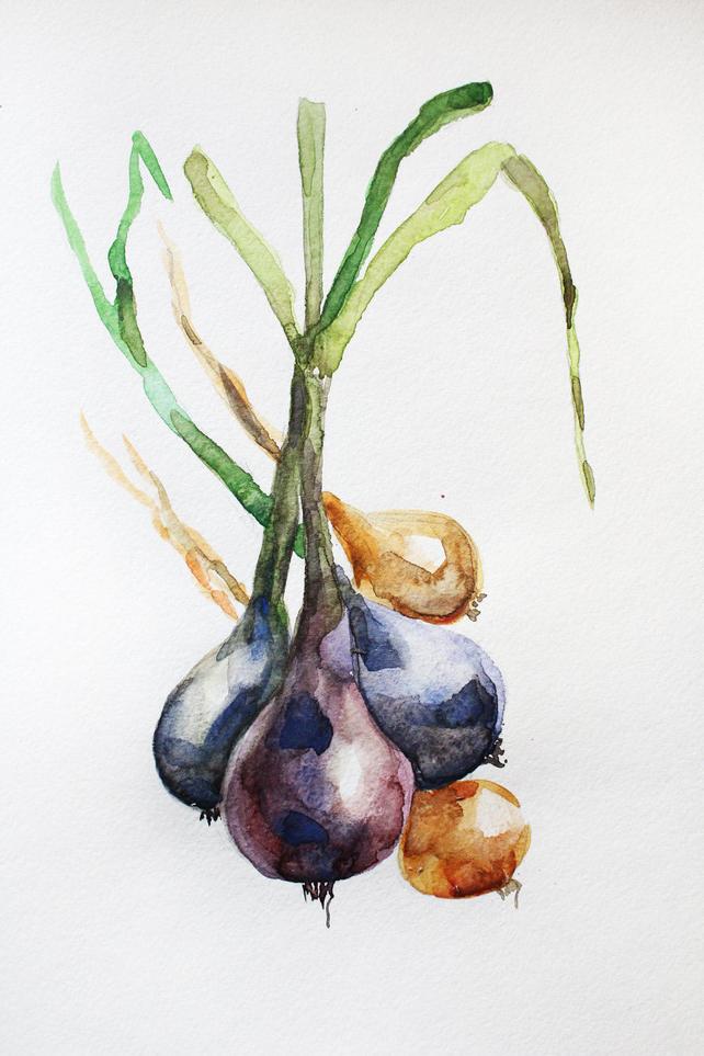 642x963 Original Watercolor Onion Onions Art Vegetables Watercolor Etsy - Watercolor Onion