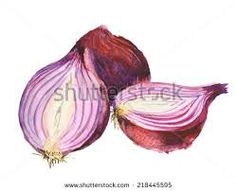 236x191 Watercolor Onion - Watercolor Onion