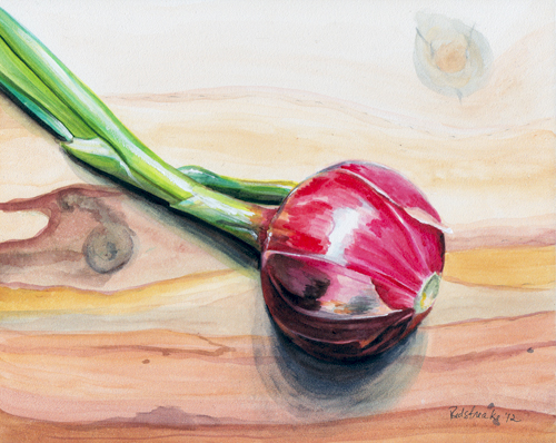 Watercolor Onion at PaintingValley.com | Explore collection of ...