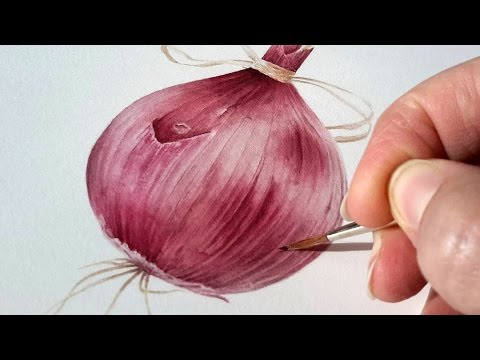 480x360 How To Paint A Realistic Onion Veggiebauble In Watercolor Jarnie - Watercolor Onion