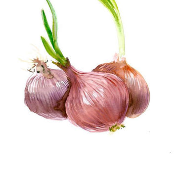 354x354 Hummingbird Painting, Original Watercolor From Originalonly - Watercolor Onion