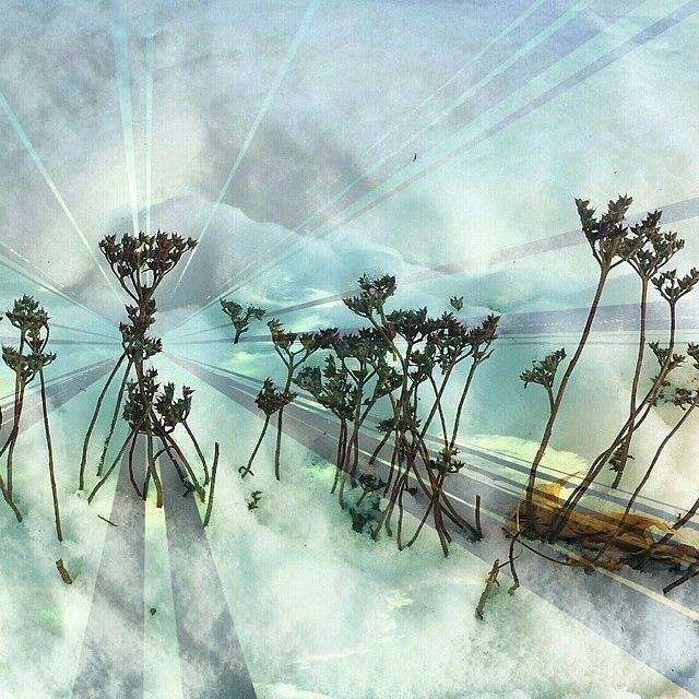 640x640 Photo Editor Online - Watercolor Online App