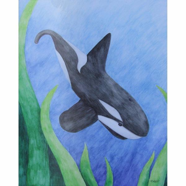 600x600 Orca - Watercolor Orca