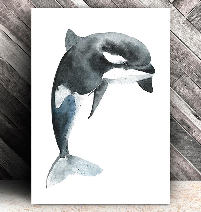 800x842 Orca Ii - Watercolor Orca