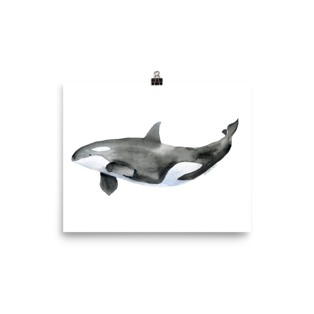1000x1000 Orca Killer Whale Watercolor Susan Windsor - Watercolor Orca