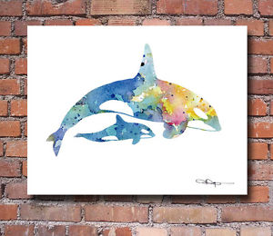 300x260 Orca And Baby Abstract Watercolor Painting Art Print By Artist Dj - Watercolor Orca