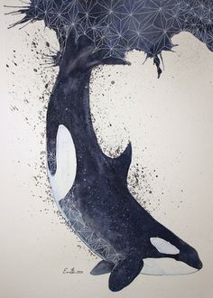236x330 Watercolor Orca - Watercolor Orca