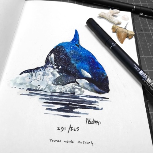 Watercolor Orca at PaintingValley.com | Explore collection of ...