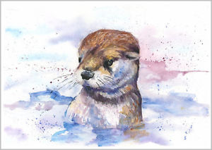 300x213 Helen April Rose Limited Print Of My Otter Wildlife Art - Watercolor Otter