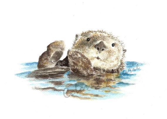 570x407 Playful Watercolor Print Of Ocean Wildlife This Little Sea Otter - Watercolor Otter