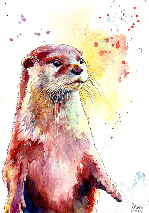 500x714 Watercolor Otter Tumblr - Watercolor Otter