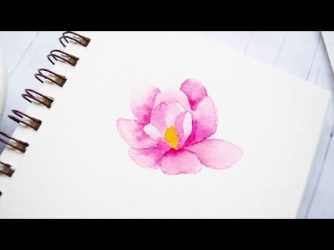 480x360 No Outline Watercoloring W Peerless Watercolor - Watercolor Outline