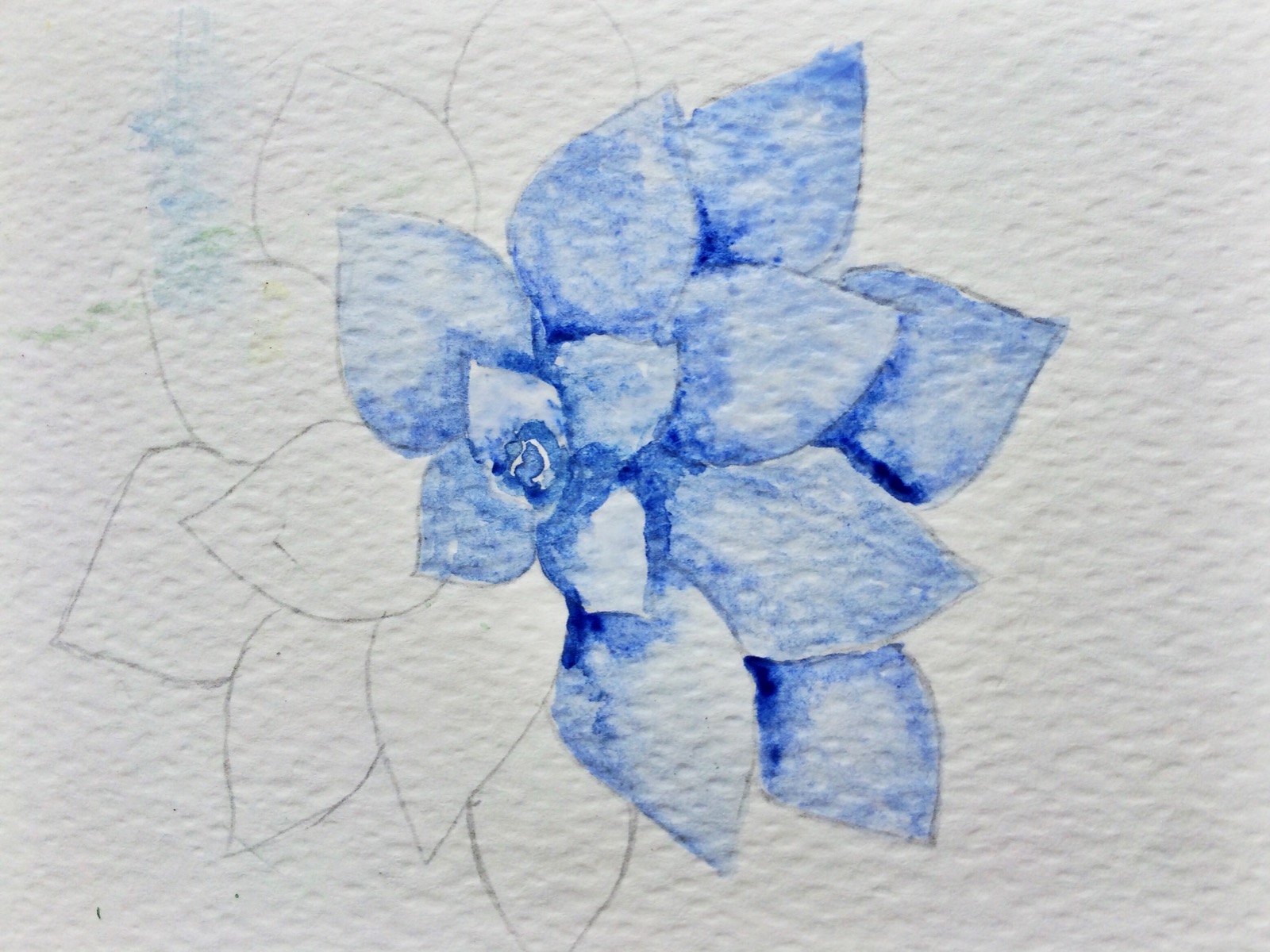 1600x1200 Watercolor Succulent Tutorial - Watercolor Outline Drawings