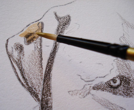 450x370 Mixed Media Tutorial Learn How To Combine Colored Pencils And - Watercolor Over Pencil