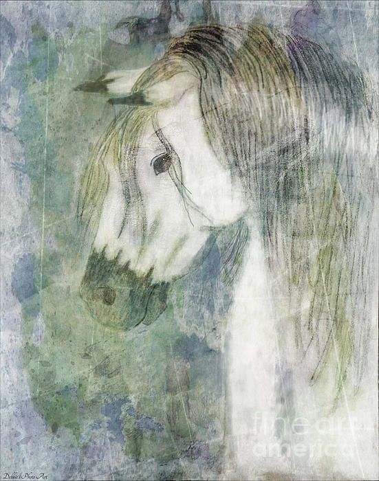 551x700 Beauty And Strength With Digital Watercolor Overlay By Debbie - Watercolor Overlay