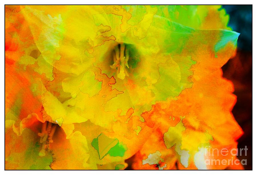 900x611 Daffodil Watercolor Overlay Photograph By Barbara Griffin - Watercolor Overlay